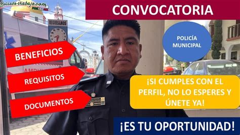 Santa Ana Nopalucan Acompañante Sexual