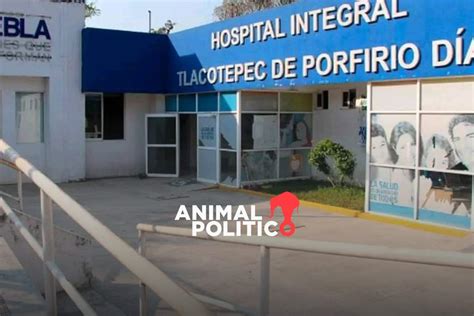 Tlacotepec Acompañante Sexual