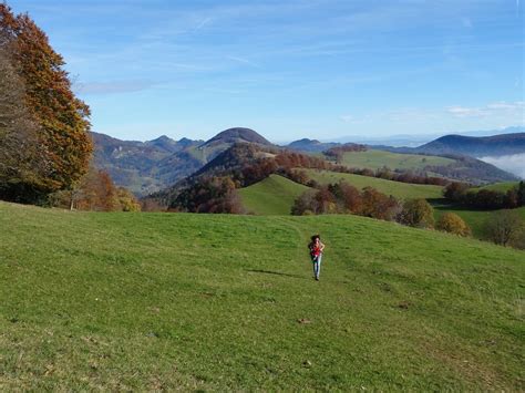 Thal Bordel