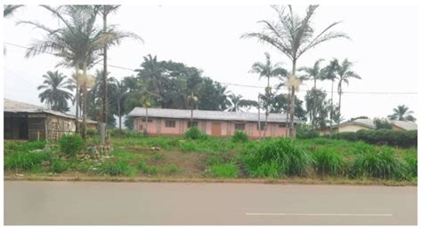 Batibo Brothel