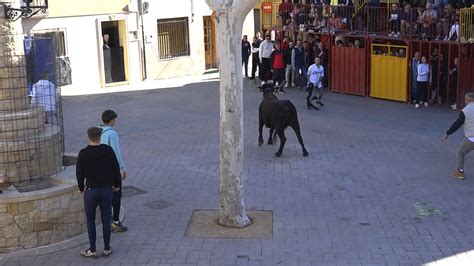 Castalla Brothel