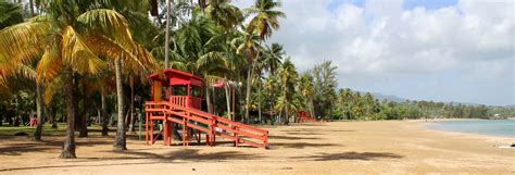 Luquillo Brothel