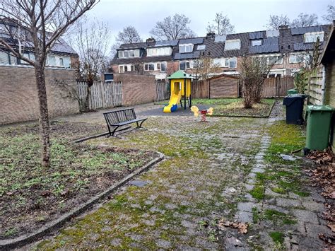 Noord Hofland Brothel