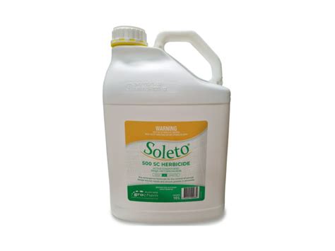 Soleto Brothel