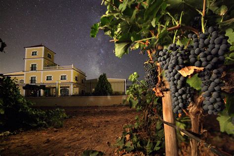 Jumilla Burdel