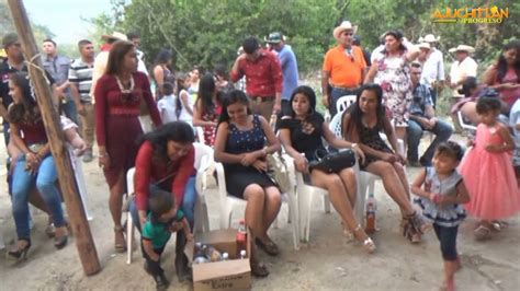 Ajuchitlán Del Progreso Citas Sexuales