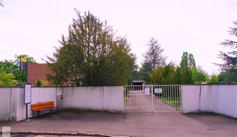 Birsfelden Find A Prostitute