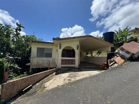 Corozal Find A Prostitute