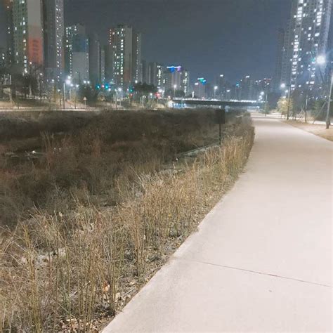 Hwaseong Si Find A Prostitute