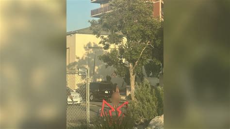 Labrador Find A Prostitute