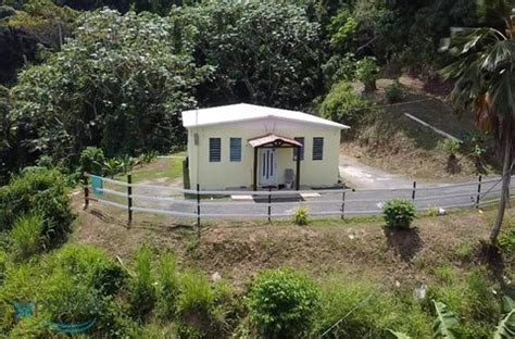 Maunabo Find A Prostitute