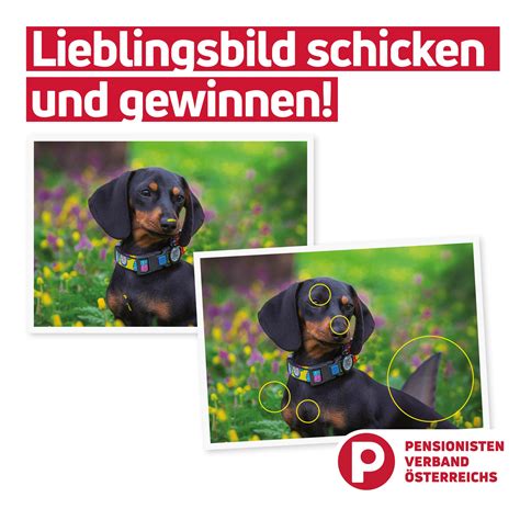 Mistelbach Find A Prostitute