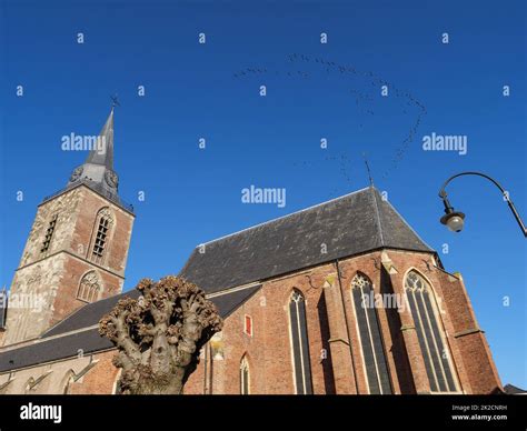 Winterswijk Find A Prostitute