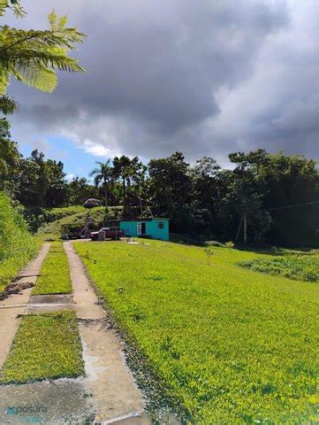 Yabucoa Find A Prostitute