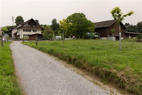 Thalwil Hure