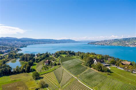 Wädenswil Hure