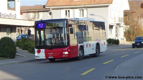 Düdingen Prostituierte