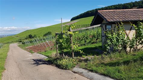 Weinstadt Endersbach Prostituierte Finden