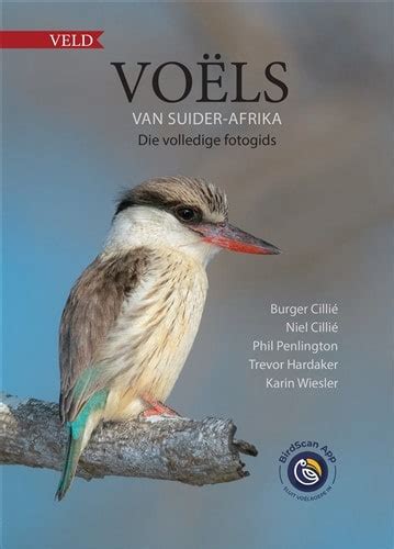 Voels Prostituierte