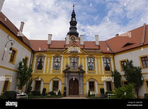 Decin Prostituta