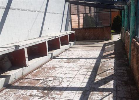 San Pedro Zictepec Prostituta