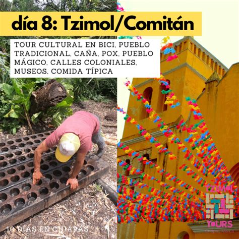 Tzimol Prostituta