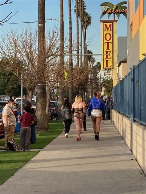 Apollo Beach Prostitute