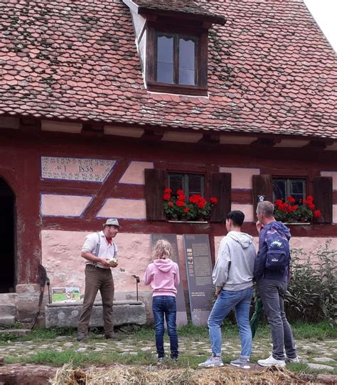 Bad Windsheim Prostitute