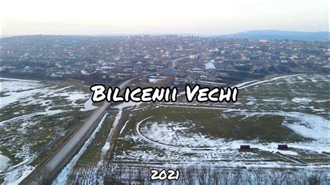 Bilicenii Vechi Prostitute