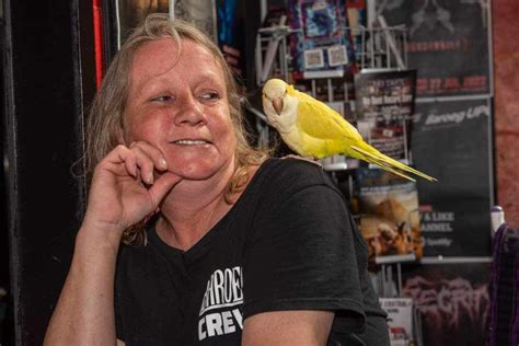 Broekhoven Prostitute