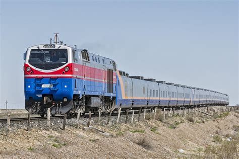 Novokazalinsk Prostitute
