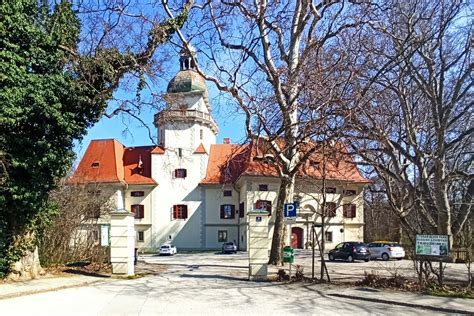 Traiskirchen Prostitute