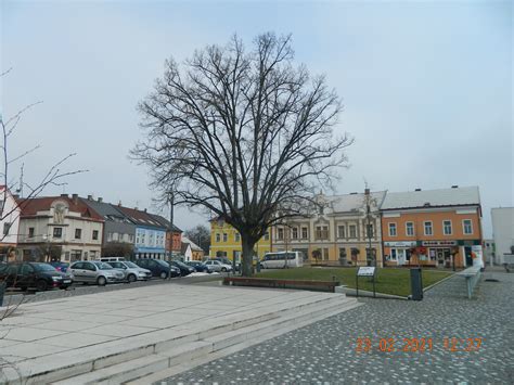 Tyniste Nad Orlici Prostitute