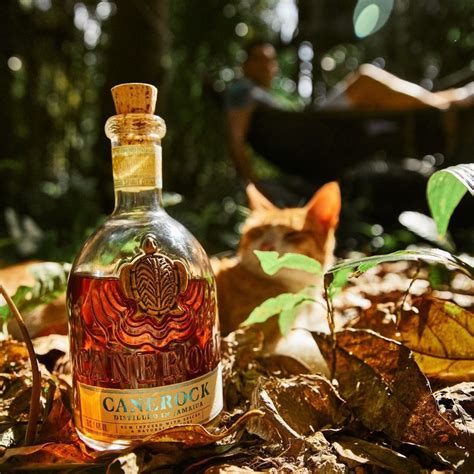 Rhum Prostituée