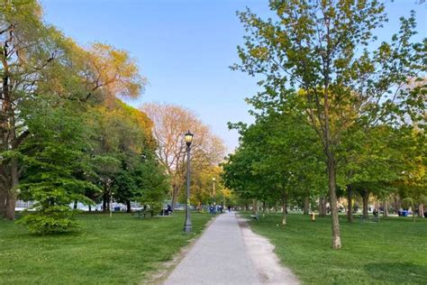Trinity Bellwoods Prostituée