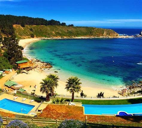 Algarrobo Puta