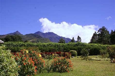 Panaba Puta