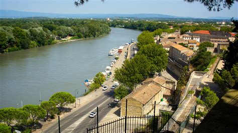 Montfavet Pute