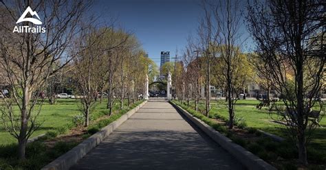 Trinity Bellwoods Pute