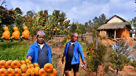 Orange Farm Sex Dating