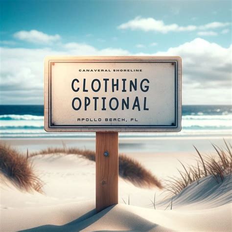 Apollo Beach Sex Escort