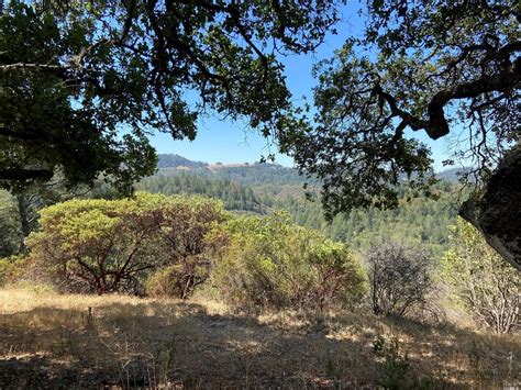 Calistoga Whore