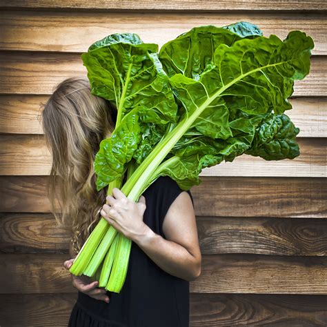Chard Whore