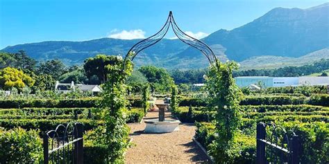 Constantia Whore