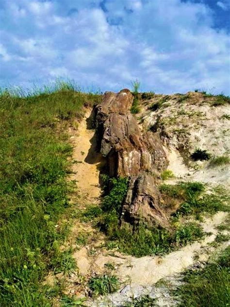 Druzhkivka Whore