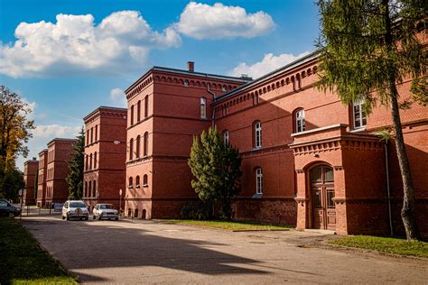 Gniezno Whore
