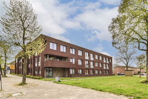 Hoogeveen Whore