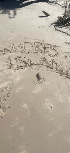 Island Bay Whore