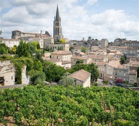 Le Taillan Medoc Whore