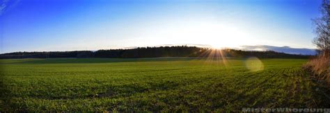 Panorama Whore